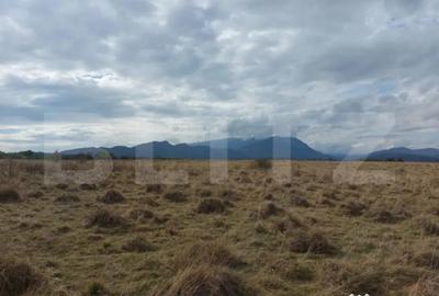 Teren de 10000 mp, în Central - 1