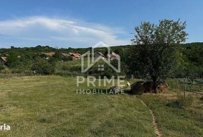 Teren de 3664 mp, în Berghin - 1