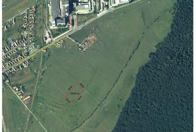Teren intravilan de vanzare 5800 mp - zona Iernuțeni - 3