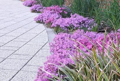 Apartament cu 4 camere în Central - 8