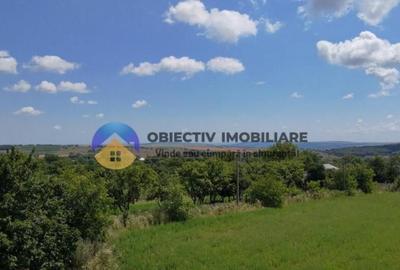 Teren intravilan de vanzare Unghi- jud. Neamt - 14