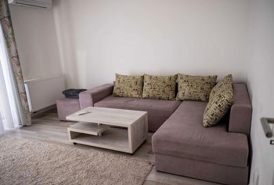 Apartament cu 2 camere decomandat în Șelimbăr - 8