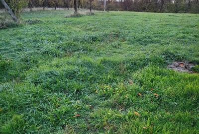 Teren de 600 mp, în Moșoaia - 8