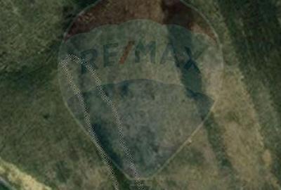 Teren agricol intravilan de 2900 mp, în Dezmir - 5