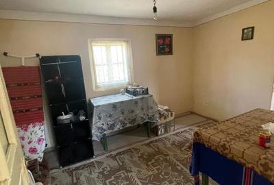 Casă cu 2 camere în Alimpești - 4