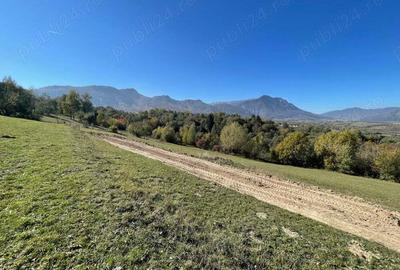 Teren de 500 mp, în Predeluț - 6