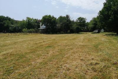 Teren Tismana - sat Gornovita - 2