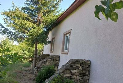 Casă cu 3 camere în Năvodari - 3