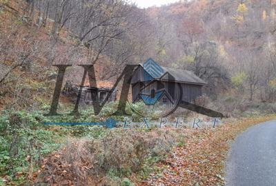 Teren extravilan de 2200 mp, în Tău Bistra - 1