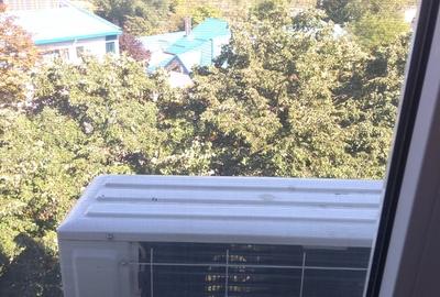 Camil Ressu, Park Lake, Piata Ramnicu Sarat - 5