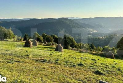 Teren de 17278 mp, în Horea - 2