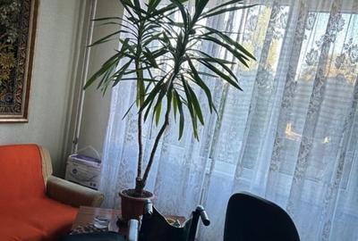 Apartament de 4 camere ( DECOMANDAT-BOXA-CENTRALA )-Craiter - 6