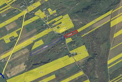 Teren Construcții intravilan de 30000 mp, în Bunghi - 1