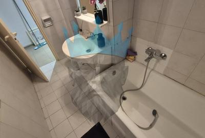 Apartament cu 2 camere decomandat, mobilat în Tineretului - 13