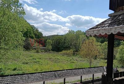 Teren de 8900 mp, în Sud-Vest - 3