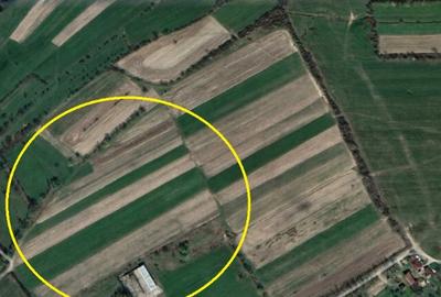 Rus, 13 ari teren, pret 10000E - 1