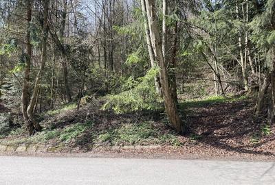 Teren Construcții intravilan de 1136 mp, în Furnica - 5