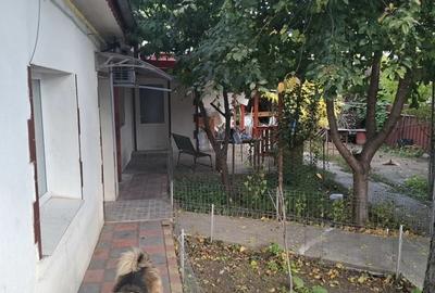 Vand casa Vand casa - 4