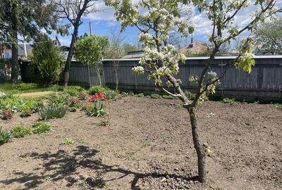 Casă cu 4 camere în Gropnița - 4