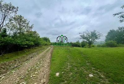 Teren de 3507 mp, în Seaca (Călimănești) - 4