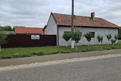 Casă individuală cu 3 camere cu Canalizare în Nădlac - 19