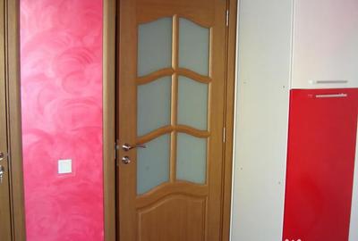 Apartament cu 2 camere decomandat în Turnișor - 8