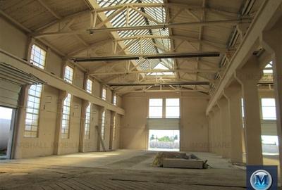 Spatiu industrial de inchiriat in Boldesti-Scaeni, zona Sud, 1948 mp #10186 - 3