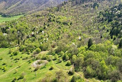 Teren de 5500 mp, în Cristian