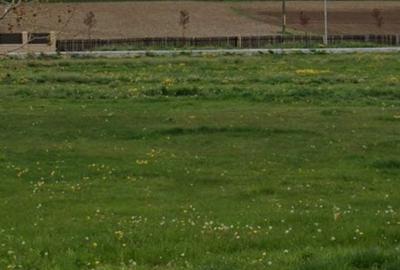 Spațiu comercial, în Paltin - 3