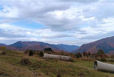 Teren de 5050 mp, în Nucșoara - 4