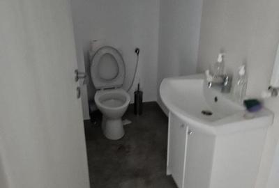 Spațiu comercial, de 440 mp, în Domnești - 2