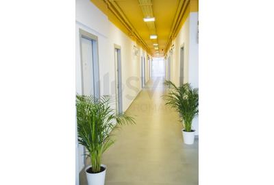 Garsonieră decomandată, mobilată în Barbu Văcărescu - 8