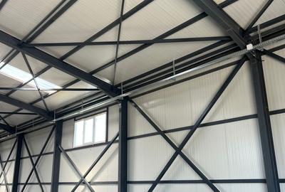 Magurele- Varteju - Ilfov - 3