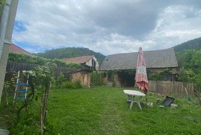 Casă cu 5 camere cu Teren 1674 Mp în Stupini - 3