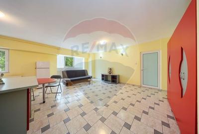 COMISION 0 | 70 MP | 2 CAMERE | RACADAU - 7