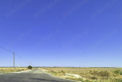 Teren de 120000 mp, în Teiu - 2