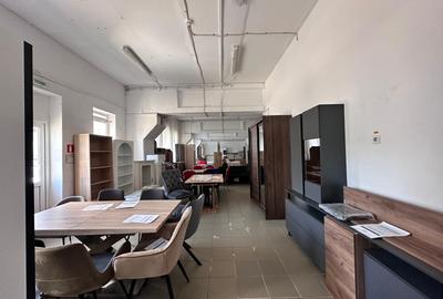 Spațiu industrial, în Primăverii - 9