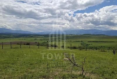 De vanzare, teren 11.500 mp Dealul Daii, Vedere panoramica spre mun?i ?i lac - 7