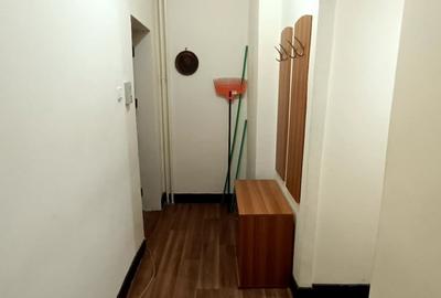 Garsoniera in bloc tip vila Livada Postei - Fagetului - 12