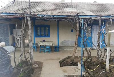 Casă cu 3 camere în Balabancea - 4