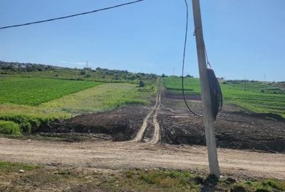 Teren intravilan -Valea Lupului - 2