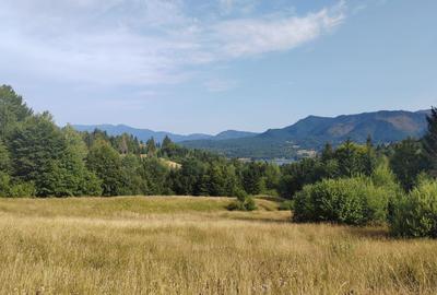 Teren Colibita - 2 hectare - acces direct din drumul 173 D - 4