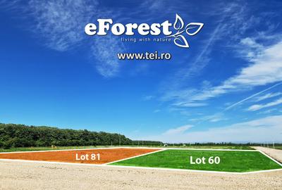 Loturi de casă 720 - 900 mp, langă Pădure în eForest, acces asfaltat - 6