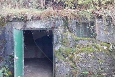 Casă cu 2 camere cu Teren 1000 Mp în Schei - 2