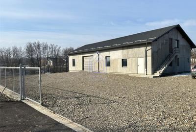 Spațiu comercial, de 250 mp, în Pătrăuți - 8