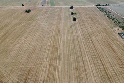 Teren de 10098 mp, în Central - 3