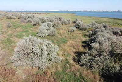 Teren de 15000 mp, în Mamaia - 3