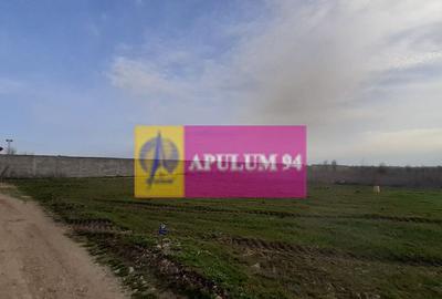 Parcela langa padure in Ilfov Parcela langa padure in Ilfov - 5