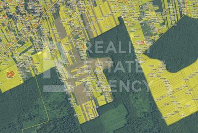 Teren agricol extravilan de 7777 mp, în Snagov - 2