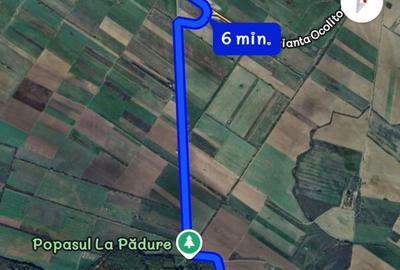 Spațiu comercial, în Giroc - 6